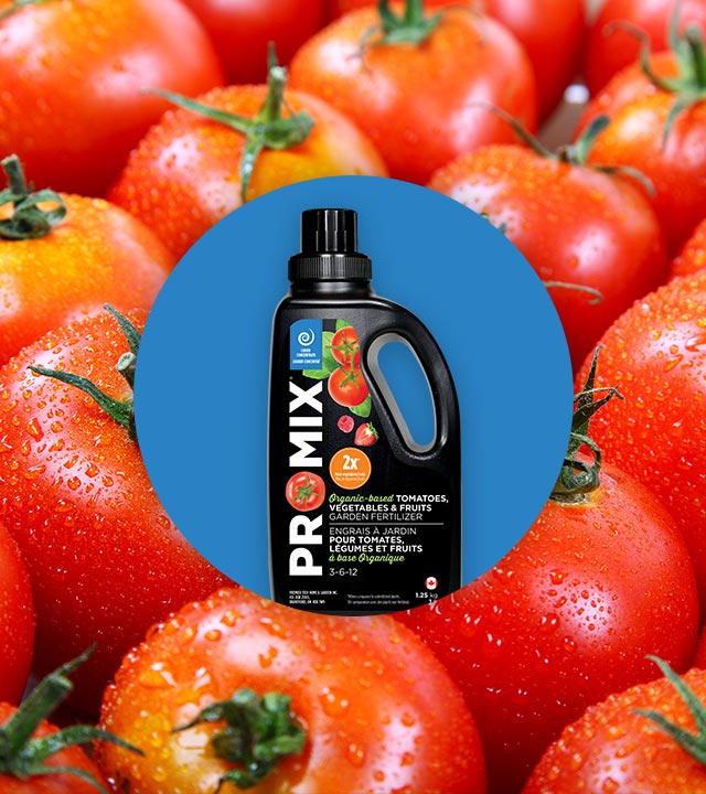 PROMIX ORGANICBASED GARDEN FERTILIZER FOR TOMATOES, VEGETABLES